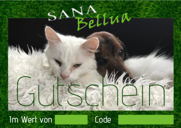Gutscheinkarte 100 Euro